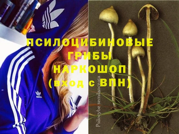 мескалин Зеленодольск